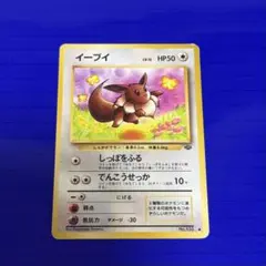 PSA9 イーブイ LV.12 イーブイ LV.12 旧裏 1枚の通販 GOGO（1579271681） | magi