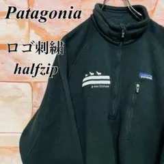 【希少】パタゴニアPatagonia ハーフジップフリースジャケット　古着M 黒