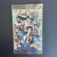 Item thumbnail for item 3db73406-e8d1-4ae0-aa9c-4a7509968810