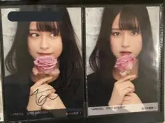 佐々木舞香 イコプレ Y Z 生写真 直筆