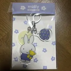 Item thumbnail for item 4d4f7b5f-91c6-41d2-a6b1-9b12f029f44c