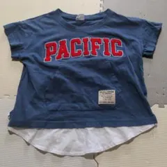 Item thumbnail for item 674a7800-a560-49cb-9c91-20fa554ba7cc