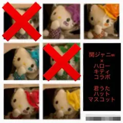 2025年最新】君うたハットマスコットの人気アイテム - メルカリ