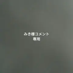 みき様コメント専用