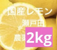 21国産瀬戸田レモン2kg - メルカリ