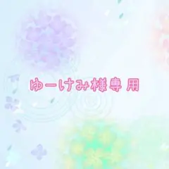 ゆーけみ様専用です