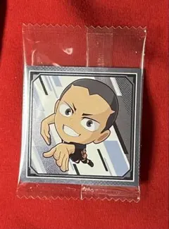 ハイキュー‼︎ゴミ捨て場の決戦　シールウエハース　N 田中龍之介