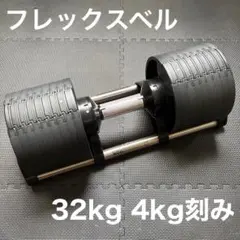 2026年最新】flexbell 20kgの人気アイテム - メルカリ