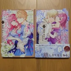 姉に婚約者と王位を奪われてので、捨てられた者同士慰め合っています。 1・2巻