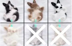 Item thumbnail for item 2b69cd30-9f2d-4712-8f30-1c131a0d6ff5