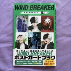 暇*人様 新品 初版 WIND BREAKER ポストカードブック 風
