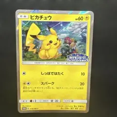 ピカチュウ P ポケモンカードフレンドリィショップ限定キャンペーン