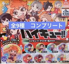 ハイキュー!! グリッター 缶バッジ  全9種　コンプリートセット　ガチャ