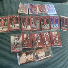 日本代表バレーボール選手カードセット+ハイキューおまけ付き計18枚セット
