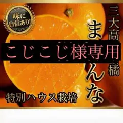 こじこじ様専用