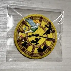 ディズニー ティンカーベル ピーターパン 刺繍 缶バッジ ビスケット2 限定