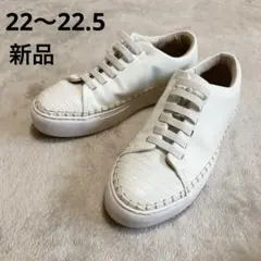 新品 定価33000円 ロジエ レザー スニーカー 22 ～22.5 ホワイト