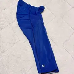 Item thumbnail for item 3b5fadc9-c7e7-400a-a65f-65c19821117b