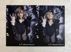 コンプセット Acid Black Cherry トレカ - メルカリ