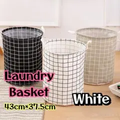 Item thumbnail for item 640f7594-9f1b-425b-8026-c8432940ceb3