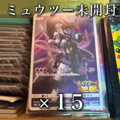 ポケモンカード　アーマードミュウツー　未開封　引退品　dp bw 旧裏　xy