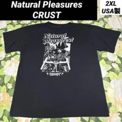 【値下げOK】Natural Pleasures US古着Tシャツ USA製のサムネイル