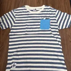 CHUMS ストライプ Tシャツ Sサイズ