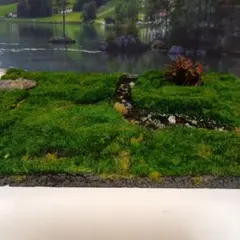 ジオラマ　芝生広場　庭園　ジオラマベース