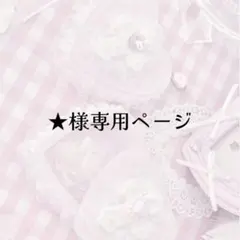 ★様専用ページ