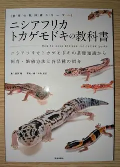 Item thumbnail for item ba433f36-21d5-4838-ac93-c175f5755b33