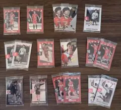 男子バレーボール ツインウエハース 男子日本代表　 カード17枚セット