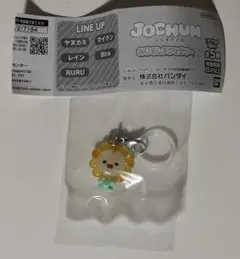 JOCHUM めじるしアクセサリー１Bira