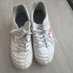 Item thumbnail for item 60baa00d-5529-4851-9d60-074adb79d382