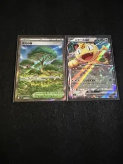 ニャースex 活力の森SR ムニキスゼロ