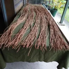 2025年最新】アケビ蔓の人気アイテム - メルカリ