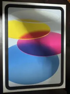 ほぼ未使用品　新品同様　第10世代 Apple iPad 本体 ブルー ipd10mtm3033-1_wm.jpg