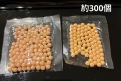 Item thumbnail for item 57618c25-9db5-403c-9f89-ec29ef986d77