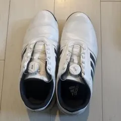 adidas ゴルフシューズ BOAシステム US8.5