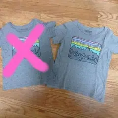 Mayu様　専用　Patagonia Tシャツ 5T グレー