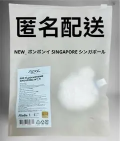 SEVENTEEN NEW_ ボンボンイ SINGAPORE シンガポールのサムネイル