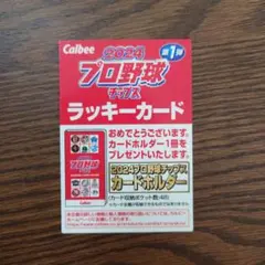 プロ野球チップス スポーツカード