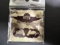 空挺レンジャー徽章　デザート迷彩のサムネイル