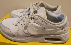 Nike Airmax ホワイト DH9636-101