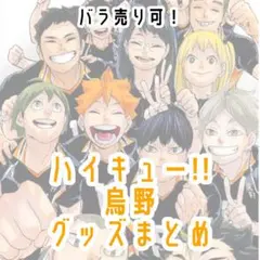 ハイキュー !! 烏野 グッズまとめ