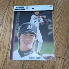 阪神タイガース 新井兄弟 下敷き 2013 新井貴浩＆新井良太 レア - メルカリ