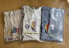 Eday from Australia Tシャツ3枚セット(海外品大き目です)