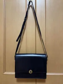 ロベルタディカメリーノ 革ショルダーバッグ