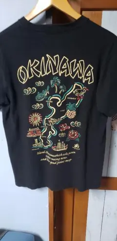 真天地開闢集団-ジグザグ 47都道府県禊ゆっくり行脚 Tシャツ タオル