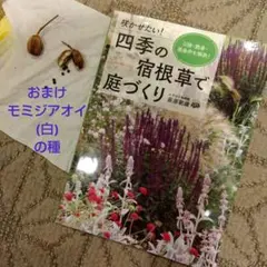 夢の庭づくり たくさんのふしぎ 2006年6月号 - メルカリ