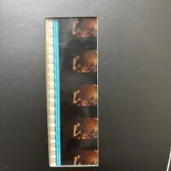 ヱヴァンゲリヲン新劇場版:破　DVD特典コマフィルム　ミサト　酔っ払い　横顔